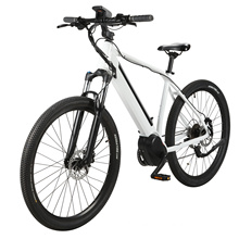 China Factory E Bike Middle Drive Bicycle 26inch Electric Bicycle